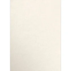 Online 13" x 19" Color Multipurpose Paper, 80 lbs., Champagne Metallic, 50 Sheets/Ream (1319-P-CHAM-50) Multipurpose Paper