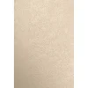 Hot 11" x 17" Color Multipurpose Paper, 80 lbs., Taupe Metallic, 50 Sheets/Ream (1117-P-M09-50) Multipurpose Paper