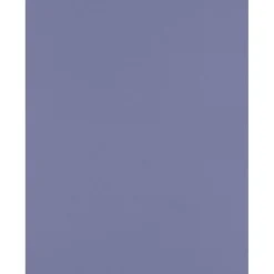 Clearance 8.5" x 11" Color Multipurpose Paper, 80 lbs., Wisteria Purple, 50 Sheets/Ream (81211-P-106-50) Multipurpose Paper