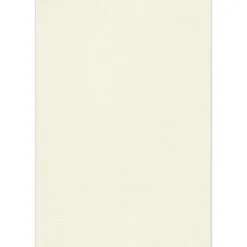 New 13" x 19" Multipurpose Paper 80 lbs., Natural Linen, 50 Sheets/Ream /Pack (1319-P-NLI-50) Multipurpose Paper