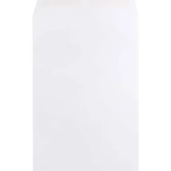 JAM Paper 10 x 15 Open End Catalog Envelopes, White, 25/Pack (1623200)* Catalog