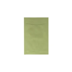 JAM Paper 6 x 9 Open End Catalog Envelopes, Olive Green, 10/Pack (31287526c)* Catalog