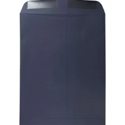 JAM Paper 10 x 13 Open End Catalog Envelopes, Navy Blue, 10/Pack (12828427f)* Catalog