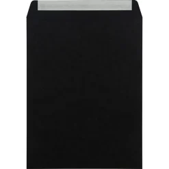 JAM Paper 10" x 13" Open End Catalog Envelopes, Black, 10/Pack (87733B)* Catalog
