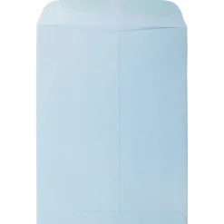 JAM Paper 6" x 9" Open End Catalog Envelopes, Baby Blue, 10/Pack (1285578B)* Catalog