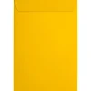 JAM Paper 6 x 9 Open End Envelopes, Sunflower Yellow, 50 Pack (EX1644-12-50)* Business