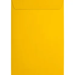 JAM Paper 6 x 9 Open End Envelopes, Sunflower Yellow, 50 Pack (EX1644-12-50)* Business