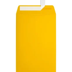 JAM Paper 6 x 9 Open End Envelopes, Sunflower Yellow, 50 Pack (EX1644-12-50)* Business
