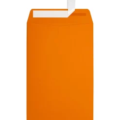 JAM Paper 6 x 9 Open End Envelopes ,Mandarin Orange, 50 Pack, Orange (EX1644-11-50)* Business