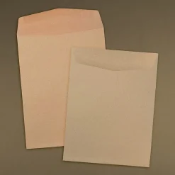 JAM Paper 9 x 12 Open End Kraft Catalog Envelopes, Brown Kraft Paper Bag, 25/Pack (6315446a)* Catalog