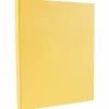 Outlet 8.5" x 11" Vellum Bristol Cardstock, 67lb, Light Orange, 100/pack (169821G) Card Stock