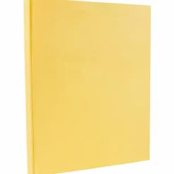 Outlet 8.5" x 11" Vellum Bristol Cardstock, 67lb, Light Orange, 100/pack (169821G) Card Stock