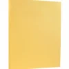 Outlet 8.5" x 11" Vellum Bristol Index Cardstock, 100lb, Buff, 100/pack (169854G) Card Stock