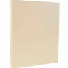 Outlet 8.5" x 11" Vellum Bristol Index Cardstock, 110lb, Ivory, 100/pack (169851G) Card Stock