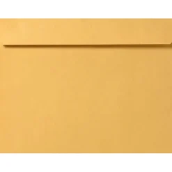 JAM Paper Booklet Envelope 10" x 13", Brown Kraft, 50/Pack (16162-50)* Business