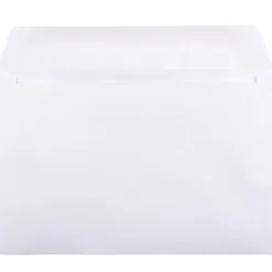 JAM Paper Booklet Envelope, 6" x 9", White, 25/Pack (4238)* Security Tinted