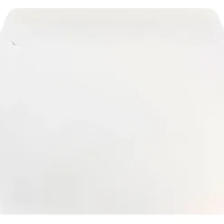 JAM Paper Booklet Envelopes, 10" x 13", White, 25/Pack (4023222)* Business