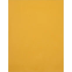 JAM Paper Catalog Envelope 10