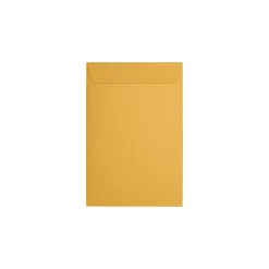 JAM Paper Catalog Envelope 6" x 9", Brown Kraft, 50/Pack (1693-50)* Catalog