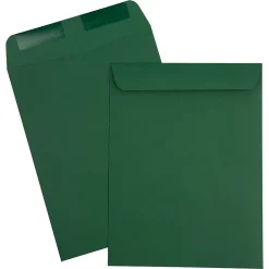 JAM Paper Catalog Envelope 9