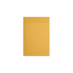 JAM Paper Catalog Envelope 6" x 9", Brown Kraft Manila, 50/Pack (1693i)* Catalog