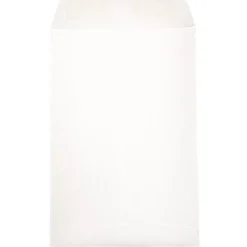 JAM Paper Catalog Envelope 6" x 9", White, 100/Pack (1623192d)* Catalog