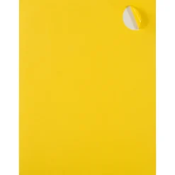 JAM Paper Circle Round Label Sticker Seals, 1 2/3 Inch Diameter, , 24 Labels/Sheet, 5 Sheets/Pack (147627067)* Shipping Labels