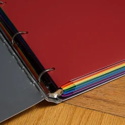 JAM Paper Heavy Duty 3 Hole Punch 2 Pocket Folder, Plastic, Assorted Primary Colors, 12/Pack (383HHPrgbypblb) Hot