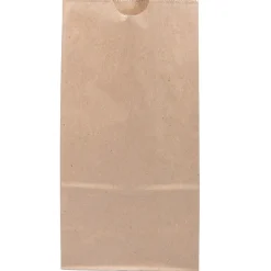 JAM Paper Kraft Lunch Bags, Medium, 9.75" x 5" x 3", Brown Kraft Recycled, 25/Pack (691KRBR) Outlet