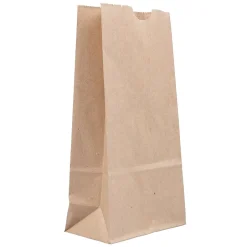 JAM Paper Kraft Lunch Bags, 8" x 4.25" x 2.25", Brown, 500/Pack (690KRBRB) Hot