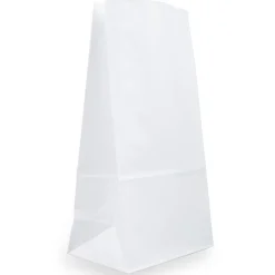 JAM Paper Kraft Lunch Bags, Large, 6" x 11" x 3.5", White, Bulk 500 Bags/Box (692KRWHB) Best