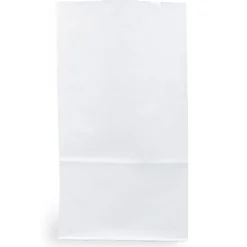 JAM Paper Kraft Lunch Bags, Large, 6" x 11" x 3.5", White, Bulk 500 Bags/Box (692KRWHB) Best