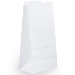 JAM Paper Kraft Lunch Bags, 9.75" x 5" x 3", White, 500/Box (691KRWHB) New