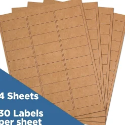 JAM Paper Laser/Inkjet Address Labels, 1" x 2 5/8", , 30 Labels/Sheet, 4 Sheets/Pack (4513701)* Address Labels