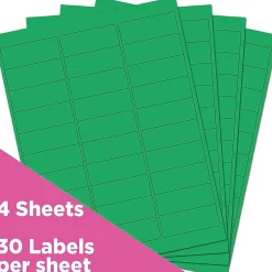 JAM Paper Laser/Inkjet Mailing Address Label, 1" x 2 5/8", , 30 Labels/Sheet, 4 Sheets/Pack (302725772)* Address Labels