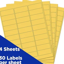 JAM Paper Laser/Inkjet Mailing Address Label, 1" x 2 5/8", , 30 Labels/Sheet, 4 Sheets/Pack (302725801)* Address Labels
