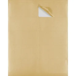 JAM Paper Laser/Inkjet Shipping Labels, 2