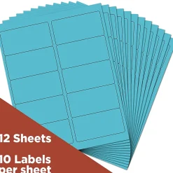 JAM Paper Laser/Inkjet Shipping Address Labels, 2" x 4", , 10 Labels/Sheet, 12 Sheets/Pack (302725768)* Address Labels