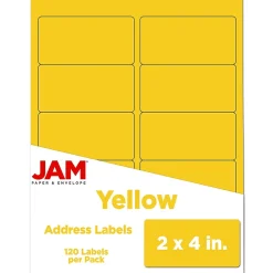 JAM Paper Laser/Inkjet Shipping Address Labels, 2" x 4", , 10 Labels/Sheet, 12 Sheets/Pack (302724410)* Address Labels