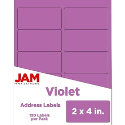 JAM Paper Laser/Inkjet Shipping Address Labels, 2" x 4", , 10 Labels/Sheet, 12 Sheets/Pack (302725790)* Address Labels