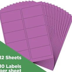 JAM Paper Laser/Inkjet Shipping Address Labels, 2" x 4", , 10 Labels/Sheet, 12 Sheets/Pack (302725790)* Address Labels