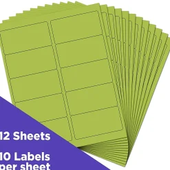 JAM Paper Laser/Inkjet Shipping Address Labels, 2" x 4", , 10 Labels/Sheet, 12 Sheets/Pack (302724405)* Address Labels
