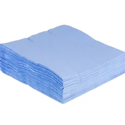 Napkins<JAM Paper Lunch Napkin, 2-ply, Pastel Blue, 50 Napkins/Pack (62556207PB)