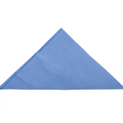 Napkins<JAM Paper Lunch Napkin, 2-ply, Pastel Blue, 50 Napkins/Pack (62556207PB)