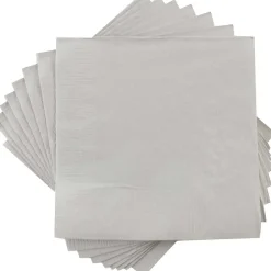Napkins<JAM Paper Lunch Napkin, 2-ply, Silver, 600 Napkins/Pack (255628827B)