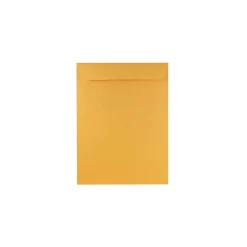 JAM Paper Open End Catalog Envelopes, 9" x 12", Brown Kraft Manila, 500/Pack (4132C)* Business