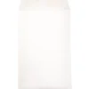 JAM Paper Open End Catalog Envelope, 6" x 9", White, 25/Pack (1623192)* Catalog