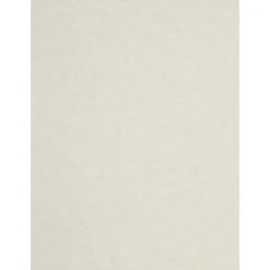 Outlet Parchment 65 lb. Cardstock Paper, 8.5