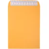 JAM Paper Peel & Seal Kraft Open End Catalog Envelope, 9 1/2" x 12 1/2", Brown, 500/Pack (13034232C)* Catalog
