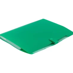 JAM Paper Plastic File Folder with Snap Closure, 5 Pocket, 9"W x 11.5", Green (FF39783GR)